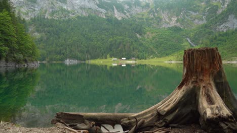 Kleiner-Schuppen-In-Der-Nähe-Des-Sees-In-Der-Region-Gosausee-Mit-Baumstamm-Im-Vordergrund-An-Bewölkten-Tagen