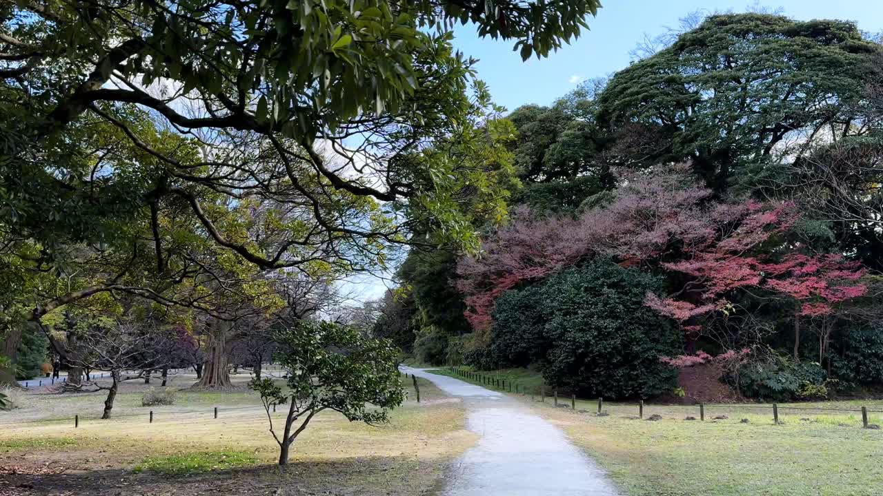A peaceful garden path in Hama Rikyu Gardens surrounded by trees and seasonal colors