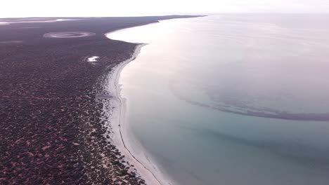 Die-Gewässer,-Inseln-Und-Halbinseln-Der-Shark-Bay-Weisen-Eine-Reihe-Außergewöhnlicher-Naturmerkmale-Auf,-Darunter-Eines-Der-Größten-Seegraswiesen-Der-Welt