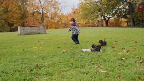 Cheerful-Asian-toddler-playing-with-puppies-on-a-green-lawn