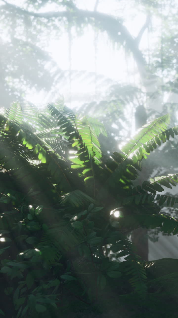 la luz del sol brillando a través de las hojas en un exuberante bosque tropical