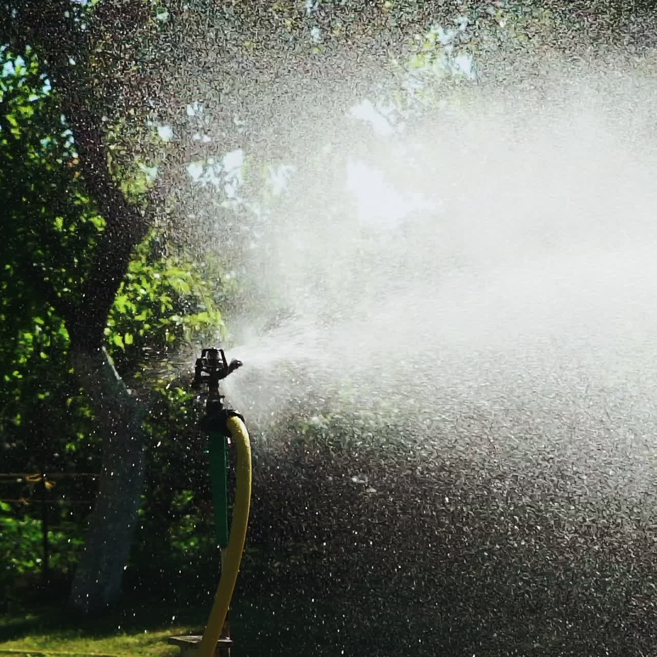 An automatic watering system with a yellow water supply hose is intensively working in the garden near a tall tree, wetting the ground on hot days.
