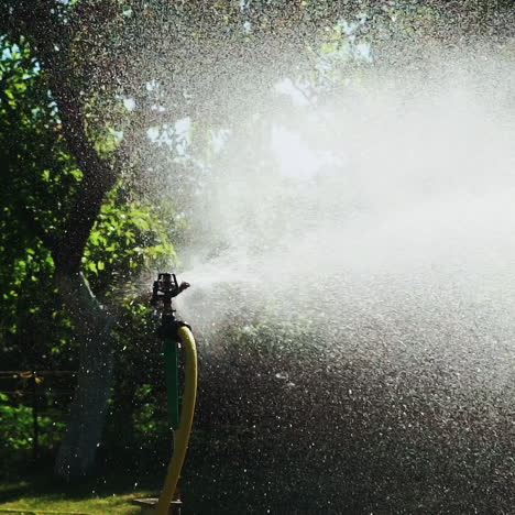 an automatic watering system with a yellow water supply hose is intensively working in the garden near a tall tree, wetting the ground on hot days.