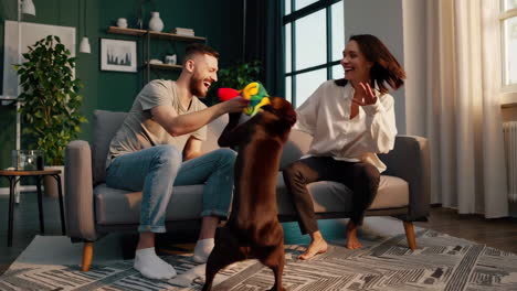 couple joyfully playing with their dog in the living room