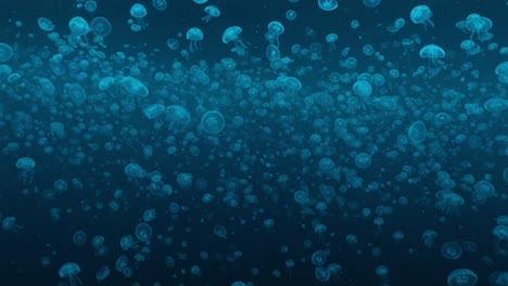 a captivating underwater scene: a breathtaking display of graceful jellyfish gliding through deep ocean waters, illuminated by soft glows, creating a mesmerizing experience