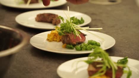 slowmo - chef preparing beef steak with vegetables on white plate at food festival