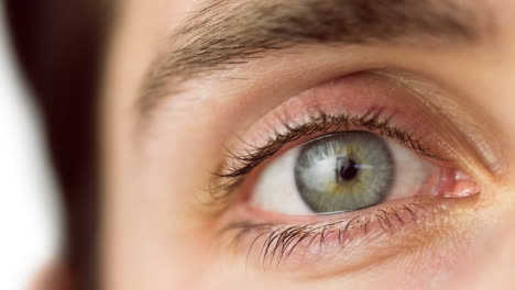 primer plano de un ojo gris femenino contra un fondo blanco