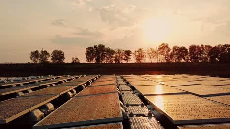 floating solar farm project on asian lake, sun reflecting at sunset, aerial dolly