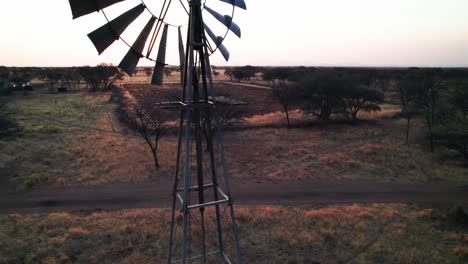 bomba de viento en el bosque africano con el atardecer arrastrándose a través de las cuchillas