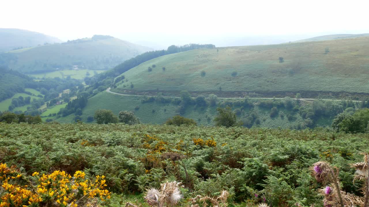 mañana brumosa vista del paisaje del valle de la montaña a través de la campiña rural escénica senderismo lento carro a la izquierda