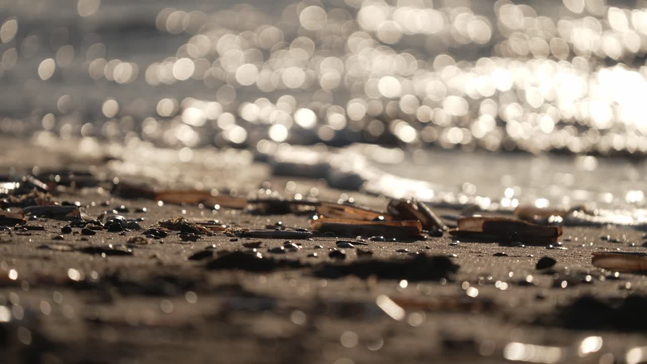 Primo piano con messa a fuoco ridotta al tramonto mentre piccole onde accarezzano la spiaggia sabbiosa.