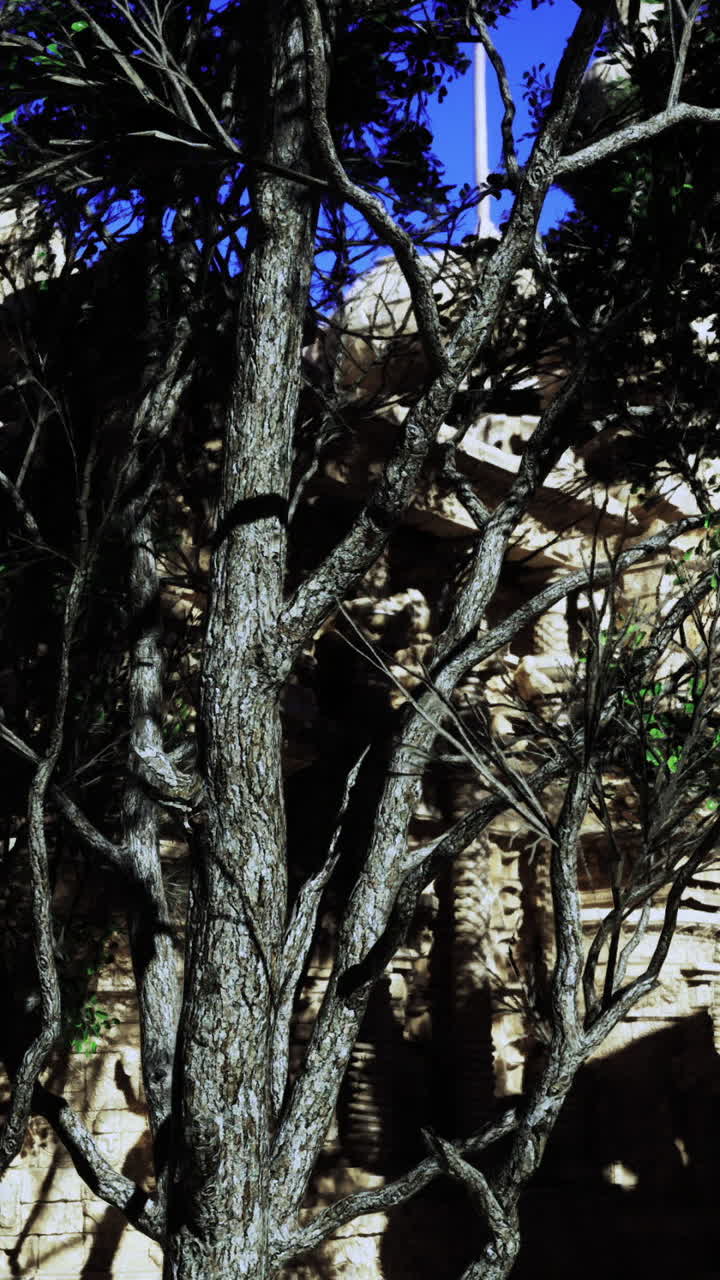 Exploring ancient stone architecture amidst trees and blue sky