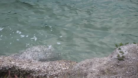 water-hitting-shore-on-afternoon