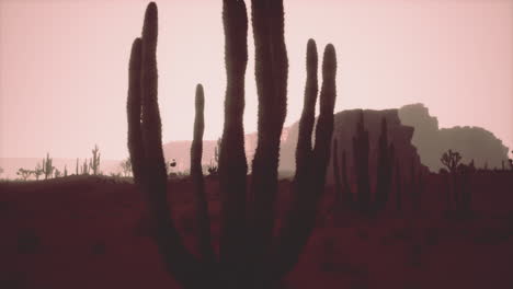 Vista-Del-Atardecer-Del-Desierto-De-Arizona-Con-Cactus-Saguaro-Y-Montañas