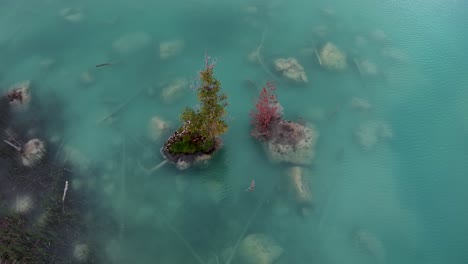 Aerial drone view of small trees growing on rocky outcrops in vivid turquoise water