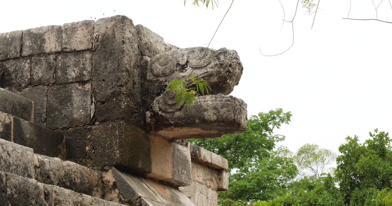 Primo piano della testa del serpente piumato sulla Piattaforma di Venere nel sito archeologico Maya di Chichen Itza.