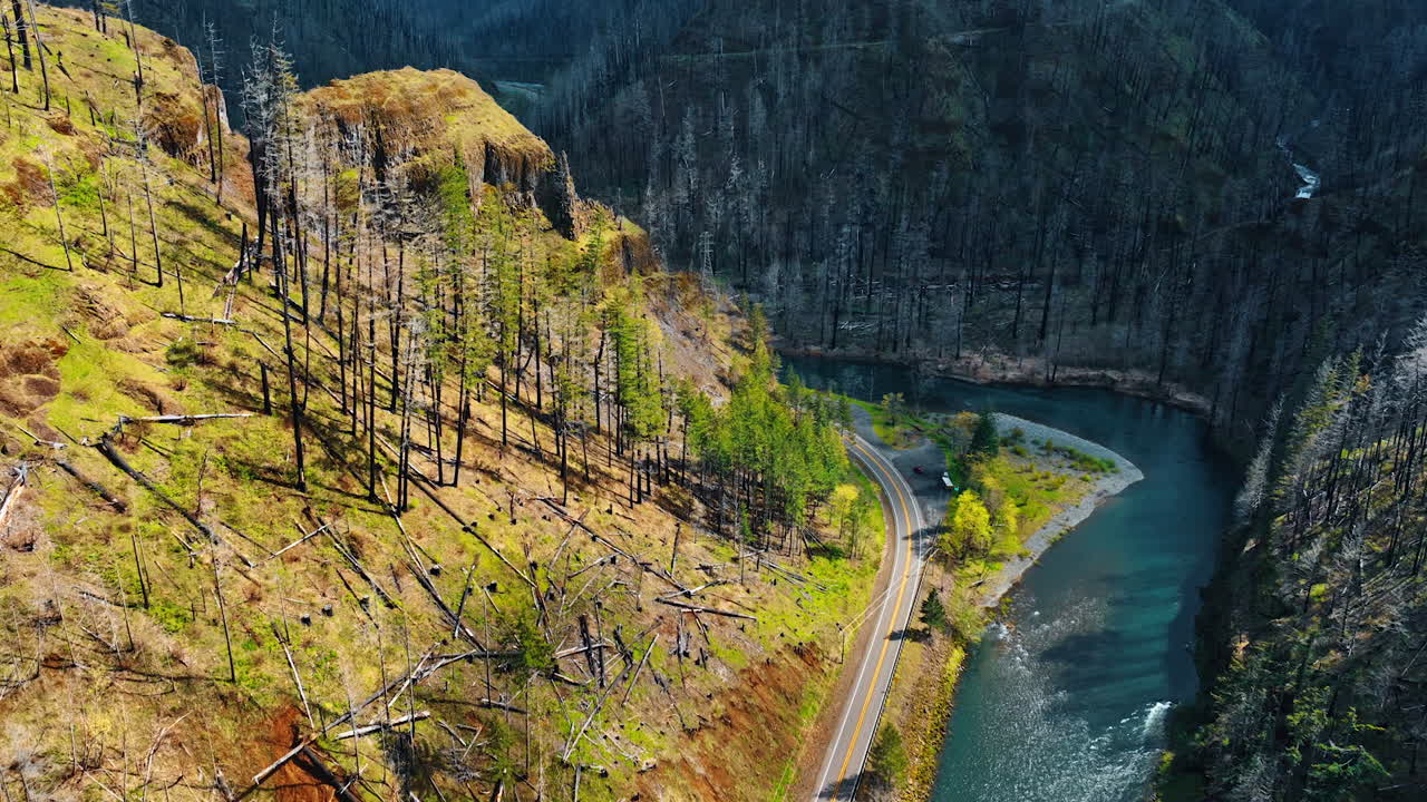 Cyan river flowing quickly among the high mountains. Drone footage in the rocks covered with dry pine trees.