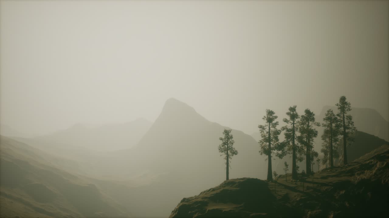 산 기 ?? 에 있는 안개 숲