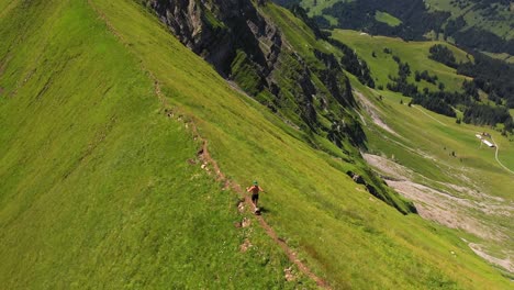 toma aérea filmando y siguiendo a un joven corredor, corriendo a alta velocidad por el camino de tierra irregular en la cima de la cresta hardgrat en suiza