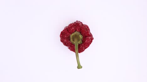 Textured-wrinkled-skin-top-down-closeup-rotating-clockwise-of-vibrant-red-overripe-Bell-pepper-or-paprika-with-green-stem-against-a-white-studio-background