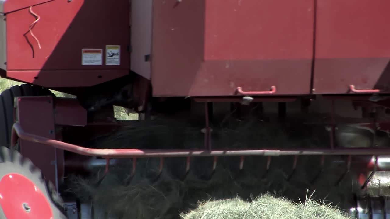 미국 캘리포니아에 있는 들판에서 건초 더미를 생산하는 트랙터 닫습니다