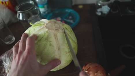 POV hand assessing where to cut a whole cabbage on a cluttered kitchen counter