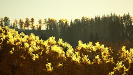 wonderful view of the mountains that glow under the sunlight