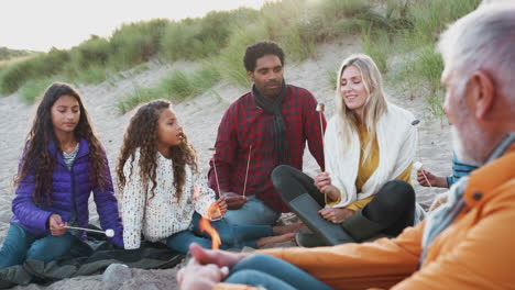 multi-generation family toasting marshmallows around fire on winter beach vacation