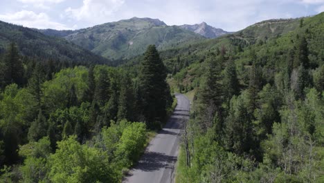 scenic road in american fork canyon cutting through lush green forest