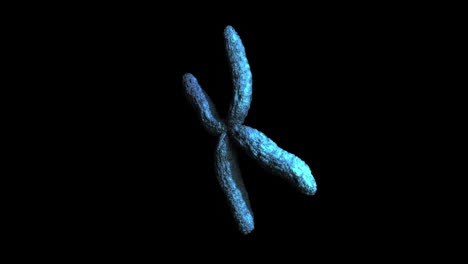 animation of moving blue chromosomes