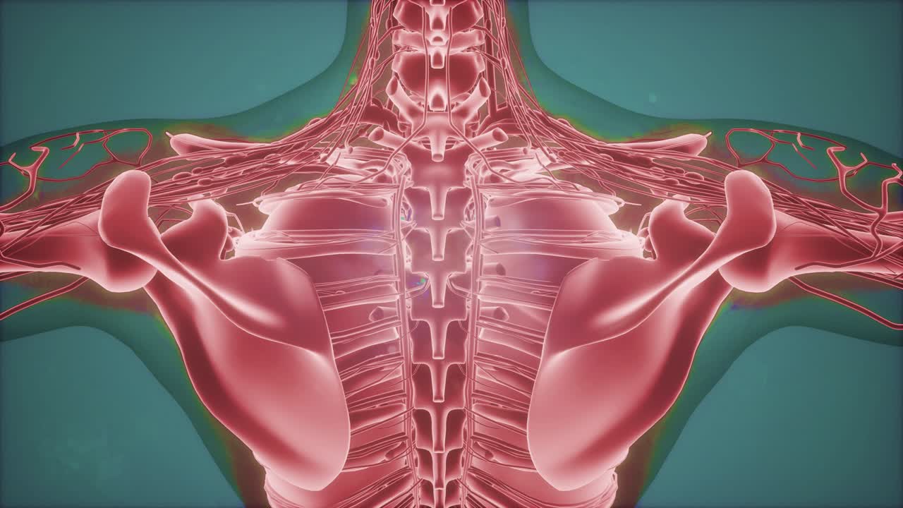 3d магнитно-резонансное сканирование