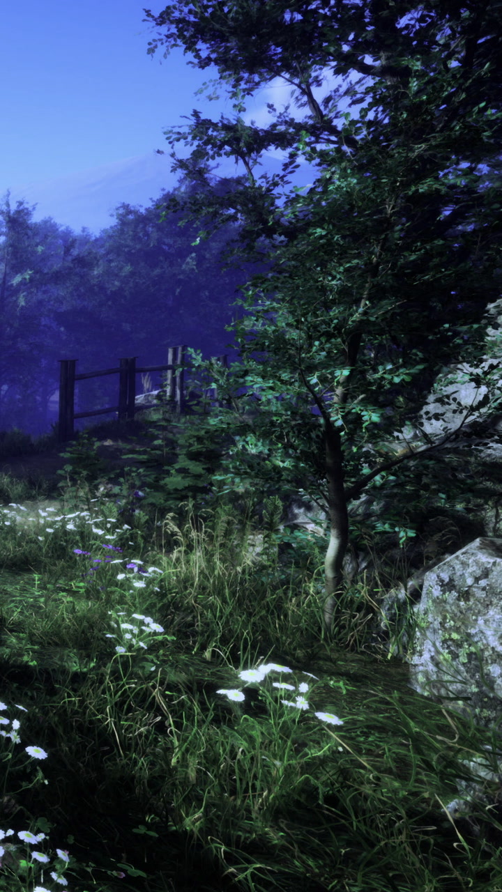 Flowering plants and bridge in a forest during twilight hours