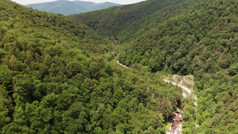 wide aerial reveal of green mountain forest in vermont, usa