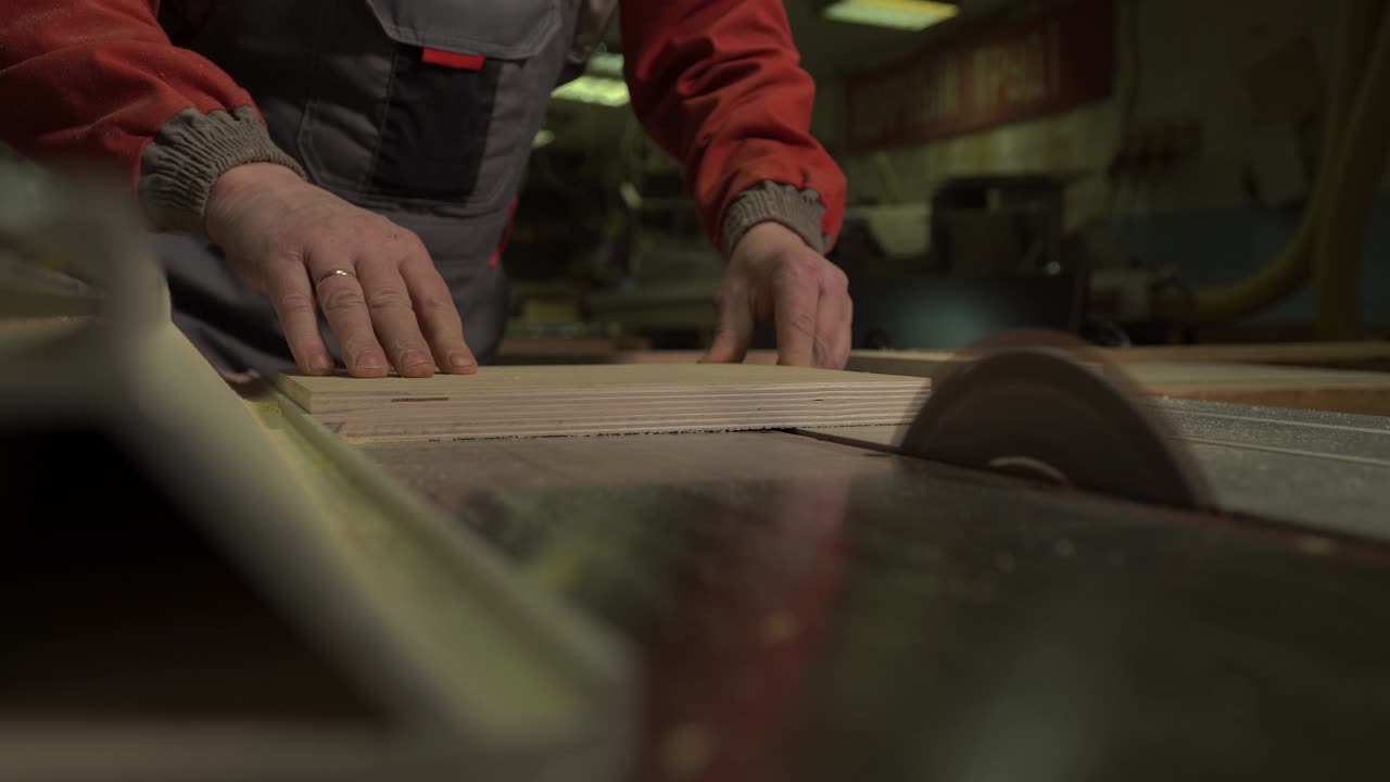 carpintero, trabajador corta una tabla de madera con una sierra circular en un banco de trabajo