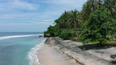 Empty-beach-on-Lombok-Island-with-tropical-coconut-trees-and-turquoise-ocean-on-sunny-day,-aerial