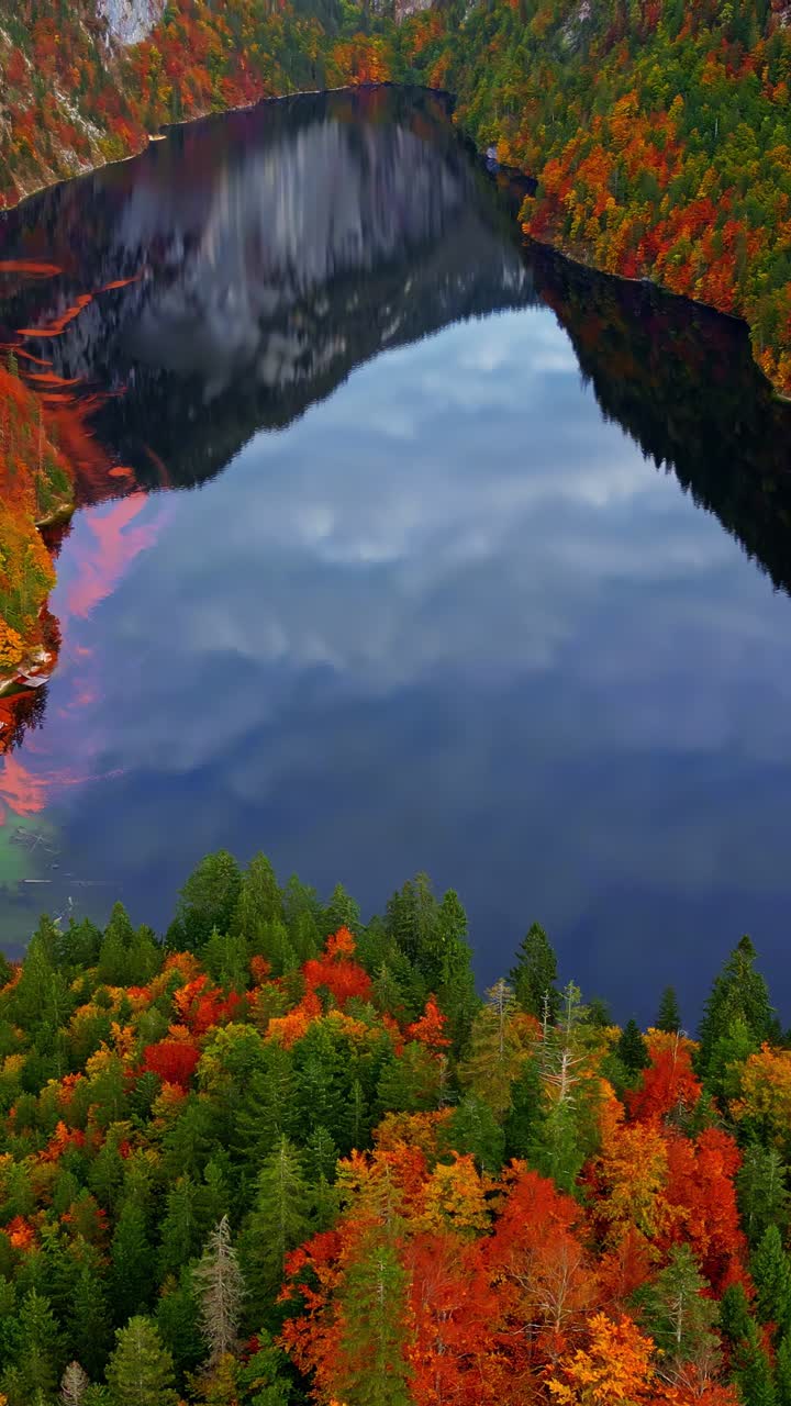 High angle aerial flyover shot revealing the vibrant autumn colors of the forest surrounding the mirror-like Lake Toplitz in Austria - vertical