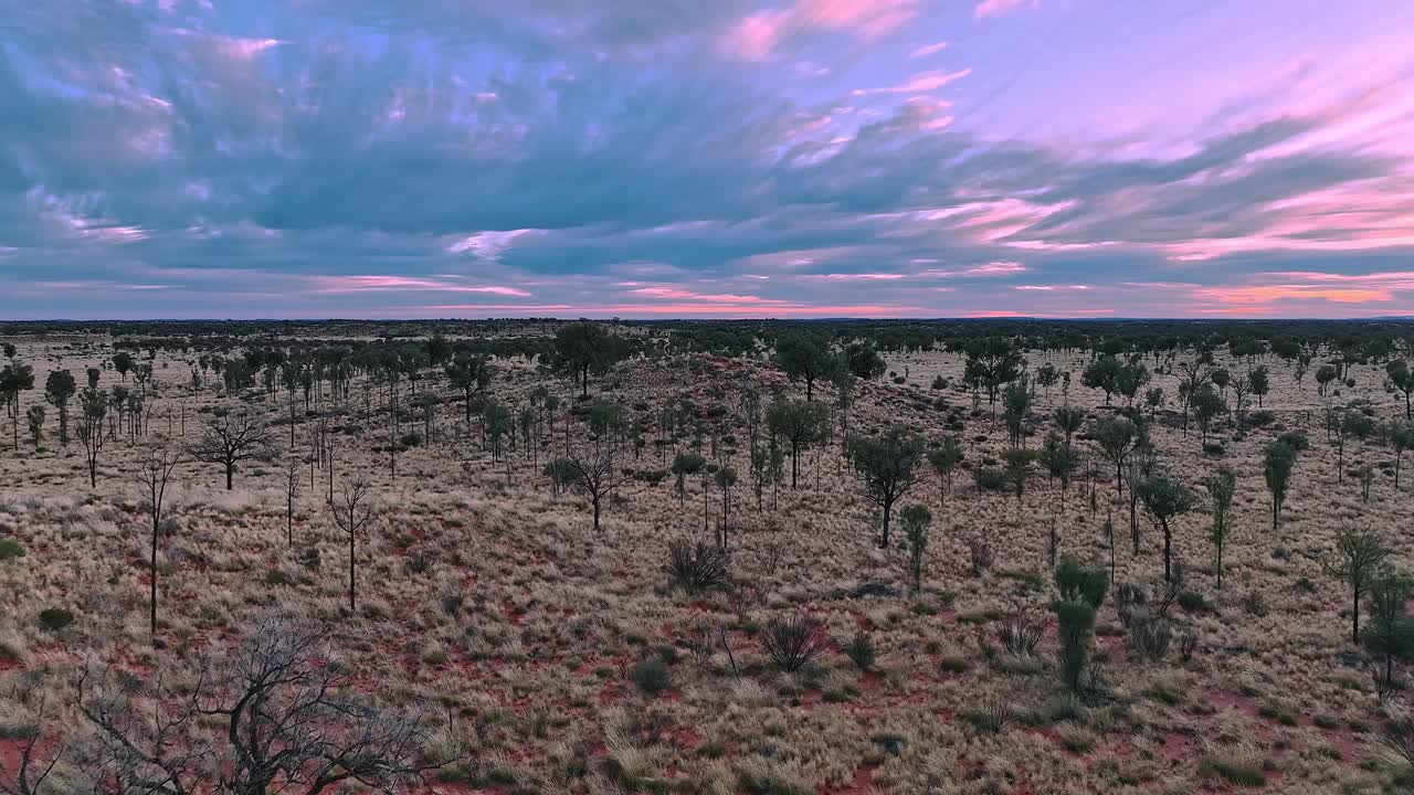 최근 비가 내린 후 꽃이 피는 멋진 외 사막 풍경 위를 날아다니고 있습니다.
