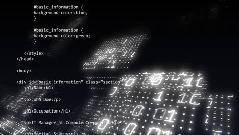 Animation of binary coding and data processing