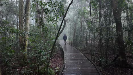 Una-Excursionista-Camina-A-Lo-Largo-De-Un-Paseo-Marítimo-De-Madera-A-Través-De-Un-Entorno-De-Bosque-Lluvioso-Y-Brumoso