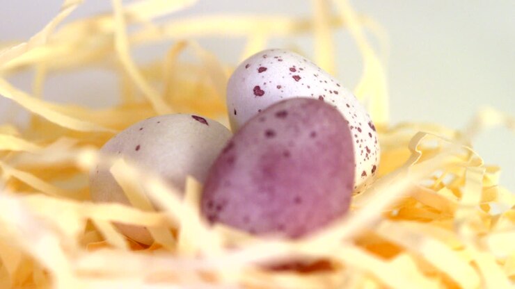 Speckled Easter Eggs in Nest Rotating