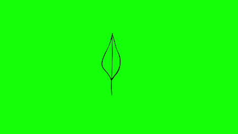 plant-leaf-tree-leaves-flying-on-wind-icon-loop-Animation-video-transparent-background-with-alpha-channel