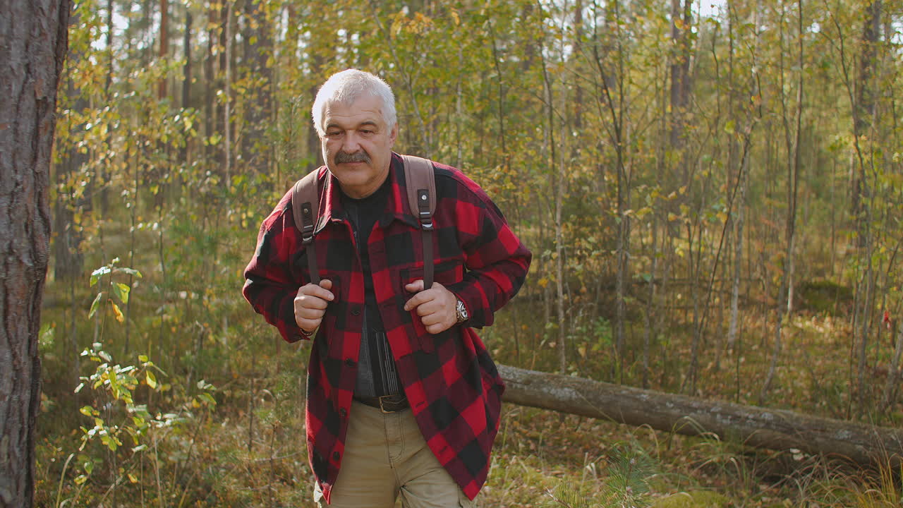 viajero de mediana edad está caminando en el bosque en un tiempo soleado en un día de otoño llevando una mochila disfrutando de la naturaleza y el silencio