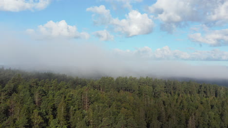 aerial view over fog clouds above forest, sunny day, in south norway - tracking, drone shot