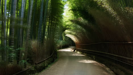 serene path through a green bamboo forest with dappled sunlight