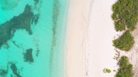 Formato-Vertical-Aéreo-De-Playa-Dominicana-Cenital-Con-Increíble-Mar-Turquesa