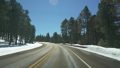 driving through the snowy forest pov shot of road and pine trees on a sunny afternoon