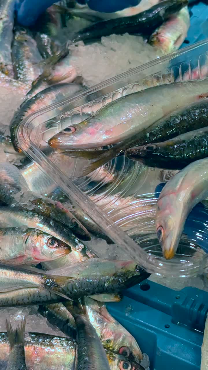 Fresh Sardines at a Fish Market