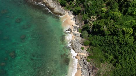 aerial view of a tropical beach with lush vegetation
