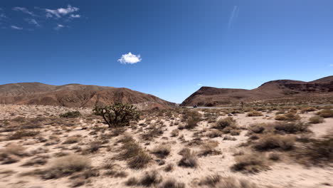 vuelo rápido a baja altura entre árboles de josué y luego