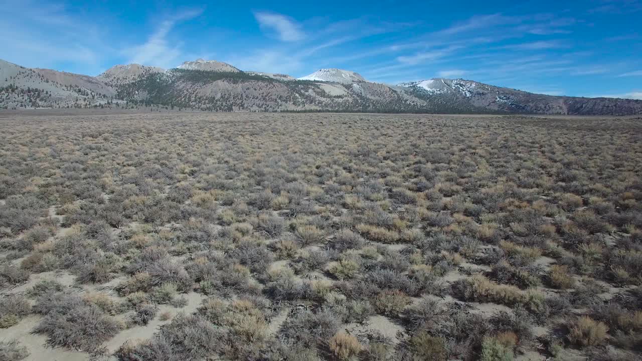 bella toma aérea sobre la artemisa del desierto revela los conos del mono volcán en las montañas orientales de sierra nevada